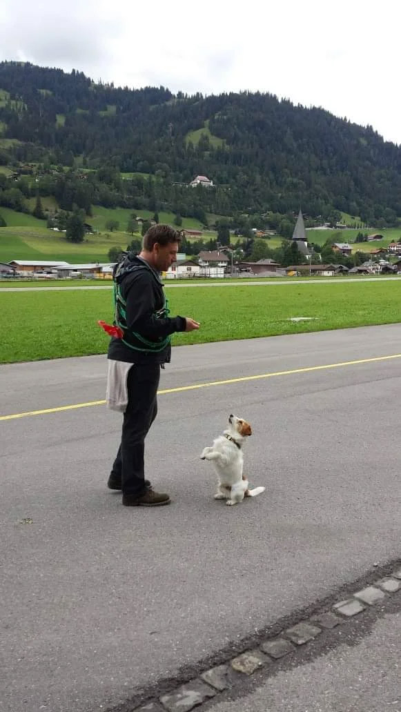 Training in Switzerland